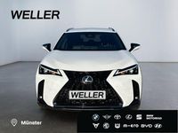 Gebraucht Lexus UX 2024 Andere SUV