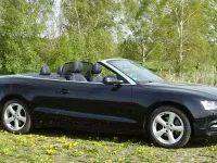 Gebraucht Audi A5 Cabriolet Sport 170 PS (125 kW) 2013 Schwarz Cabrio
