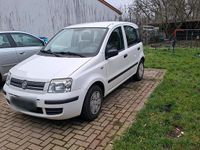 Gebraucht Fiat Panda 60 PS (44 kW) 2009 Weiß Kleinwagen