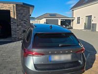 Gebraucht Skoda Octavia 116 PS (85 kW) 2021 Grau Kombi