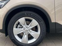 Neu Volvo XC40 Core 163 PS (119 kW) 2025 Braun SUV