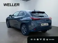 Gebraucht Lexus UX 300h Sport Design Packet 199 PS (146 kW) 2026 Obsidiangrau metallic SUV