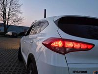 Gebraucht Hyundai Tucson 131 PS (96 kW) 2016 Weiß SUV