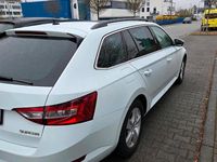 Gebraucht Skoda Superb 150 PS (110 kW) 2017 Weiß Kombi