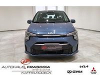 Neu Kia Picanto Vision 91 PS (66 kW) 2025 Grau Kleinwagen