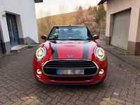 Gebraucht Mini Cooper 136 PS (100 kW) 2020 Rot Kleinwagen