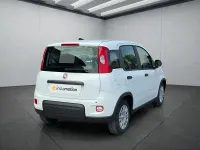 Gebraucht Fiat Panda 71 PS (52 kW) 2024 Weiß Kleinwagen