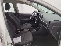Gebraucht Kia Picanto 67 PS (49 kW) 2022 Weiß Kleinwagen