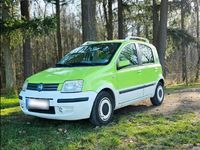 Gebraucht Fiat Panda 60 PS (44 kW) 2007 Grün Kleinwagen