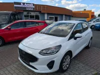 Gebraucht Ford Fiesta 75 PS (55 kW) 2022 Frozen white Kleinwagen