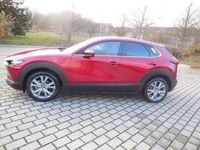 gebraucht Mazda CX-30 CX-302.0 e-SKYACTIV-G 150PS Automatik Exclusive-Li