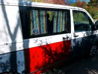 Occasion VW Transporter 85 ch (62 kW) 2005 Van