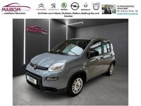 gebraucht Fiat Panda Panda