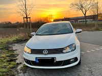 Gebraucht VW Eos 122 PS (89 kW) 2014 Weiß Cabrio