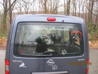 Gebraucht Opel Combo 97 PS (71 kW) 2009 Blau Van / Kleinbus