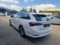 Gebraucht Skoda Octavia 116 PS (85 kW) 2023 Candyweiss Kombi