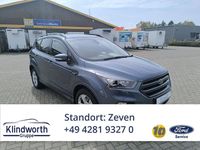 Gebraucht Ford Kuga ST-Line 175 PS (128 kW) 2019 Blau SUV