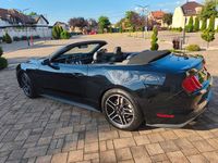 Gebraucht Ford Mustang 317 PS (233 kW) 2022 Schwarz Cabrio