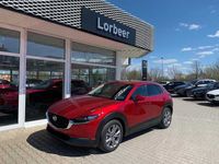 gebraucht Mazda CX-30 M-HYBRID 150PS 6AG SELECTION A18 DES-P NAVI