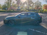Second-hand Lexus UX 200 171 CP (125 kW) 2019 Verde SUV