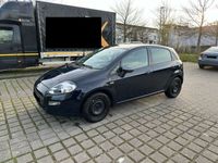 gebraucht Fiat Punto 1.2 8V YOUNG