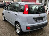 Gebraucht Fiat Panda 69 PS (50 kW) 2022 Grau Limousine