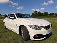 Gebraucht BMW 425 Sport Line 2016 Weiß Coupé
