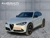 Neu Alfa Romeo Stelvio Veloce 209 PS (153 kW) 2025 Grau SUV