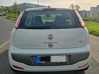 gebraucht Fiat Punto Evo 