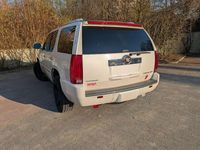 Gebraucht Cadillac Escalade 409 PS (300 kW) 2015 Weiß SUV