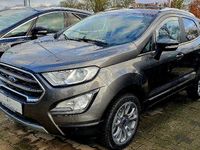 Gebraucht Ford Ecosport Titanium X 125 PS (91 kW) 2019 Grau SUV