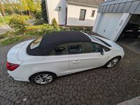 Second-hand Opel Cascada Active 170 CP (125 kW) 2017 Alb Cabrio