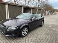 gebraucht Audi A3 Cabriolet 1.6 Ambition Ambition