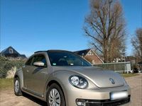 Gebraucht VW Beetle 105 PS (77 kW) 2015 Beige Kleinwagen