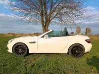 Gebraucht Mercedes SLK250 204 PS (150 kW) 2011 Weiß Cabrio