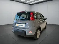 Gebraucht Fiat Panda 69 PS (50 kW) 2023 Grau Kleinwagen