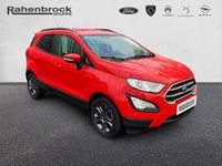 Gebraucht Ford Ecosport Cool & Connect 125 PS (91 kW) 2019 Racerot SUV