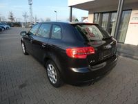 Gebraucht Audi A3 Ambition 140 PS (102 kW) 2011 Grau Kleinwagen
