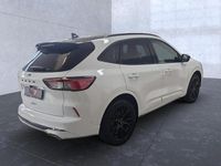 Gebraucht Ford Kuga ST-Line X 120 PS (88 kW) 2023 Frostweiß SUV