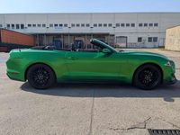 Gebraucht Ford Mustang 317 PS (233 kW) 2019 Grün Cabrio