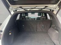 Gebraucht Ford Kuga ST-Line X 186 PS (136 kW) 2024 Frozen white SUV