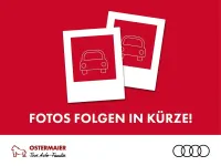 Neu Audi Q5 Sport 299 PS (219 kW) 2026 Grau SUV