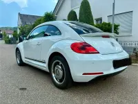 Gebraucht VW Beetle Cup 105 PS (77 kW) 2014 Weiß Kleinwagen