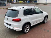 Gebraucht VW Tiguan R-line 140 PS (102 kW) 2014 Weiß SUV