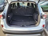 Gebraucht Ford Kuga Titanium X 224 PS (164 kW) 2022 Weiß SUV