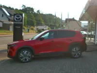Gebraucht Mazda CX-5 141 PS (103 kW) 2026 Rot SUV