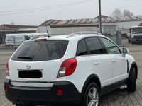 Gebraucht Opel Antara Cosmo 170 PS (125 kW) 2016 Weiß SUV