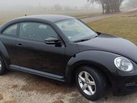 Gebraucht VW Beetle 105 PS (77 kW) 2016 Schwarz Kleinwagen