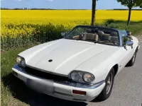 Gebraucht Jaguar XJS 222 PS (163 kW) 1994 Weiß Cabrio