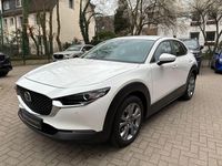 Gebraucht Mazda CX-30 Selection 122 PS (89 kW) 2023 Weiß SUV